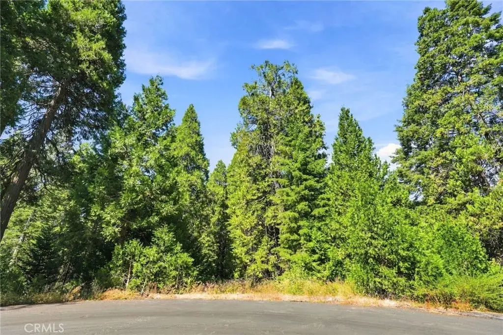 39730 Fox Glove, Shaver Lake