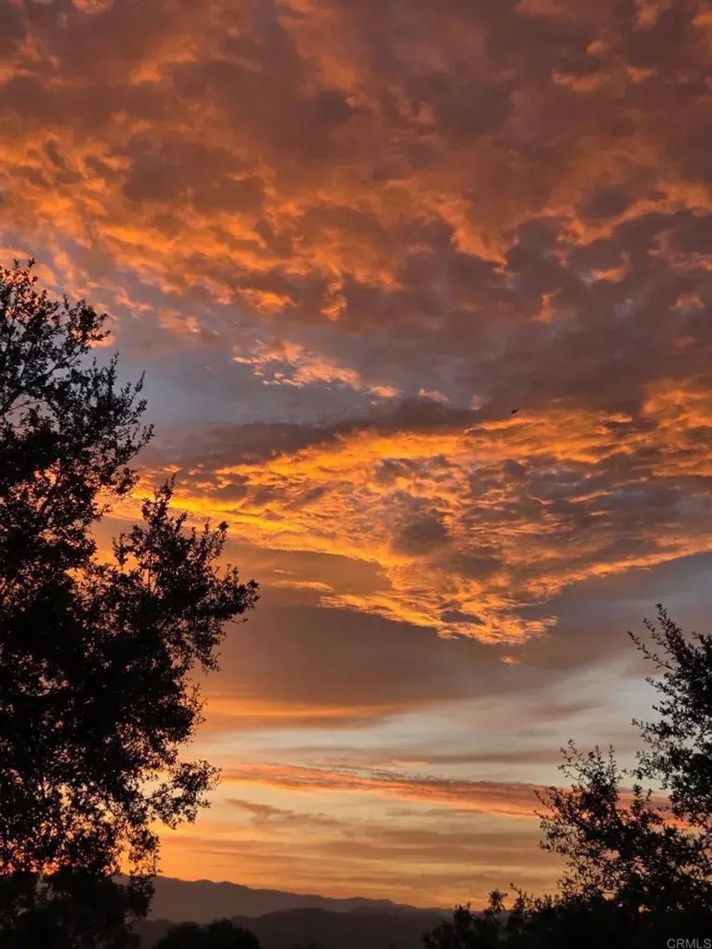 Lorene Ln, Fallbrook
