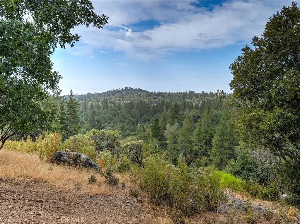 1539001 Vista Lago, Mariposa