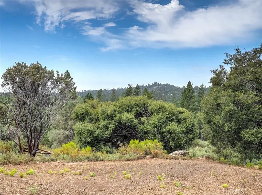 1539001 Vista Lago, Mariposa