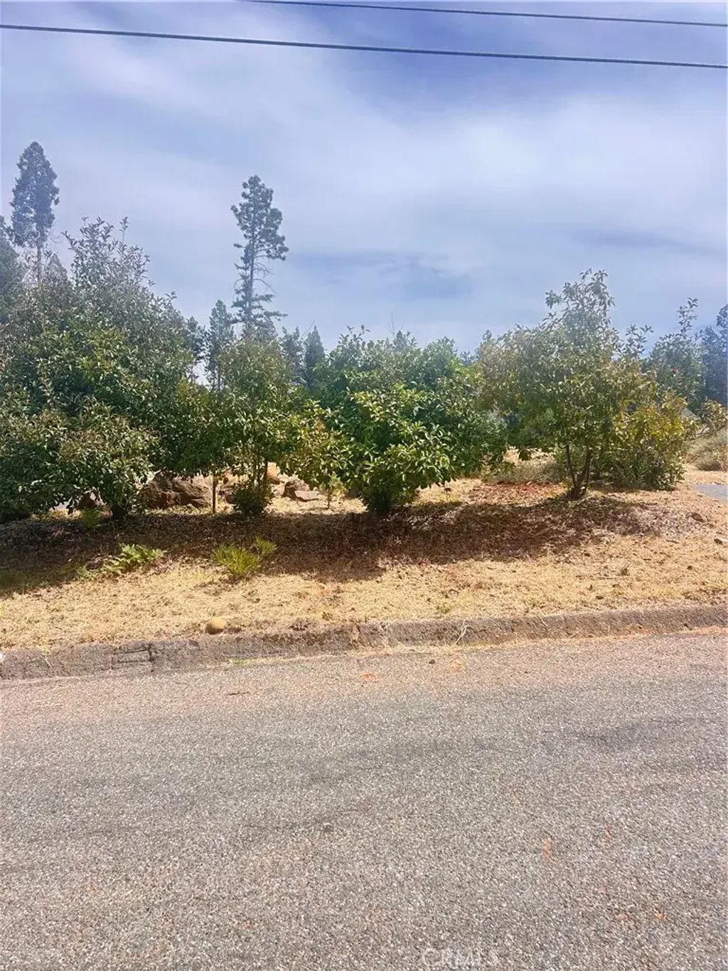 13837 Ferguson, Magalia