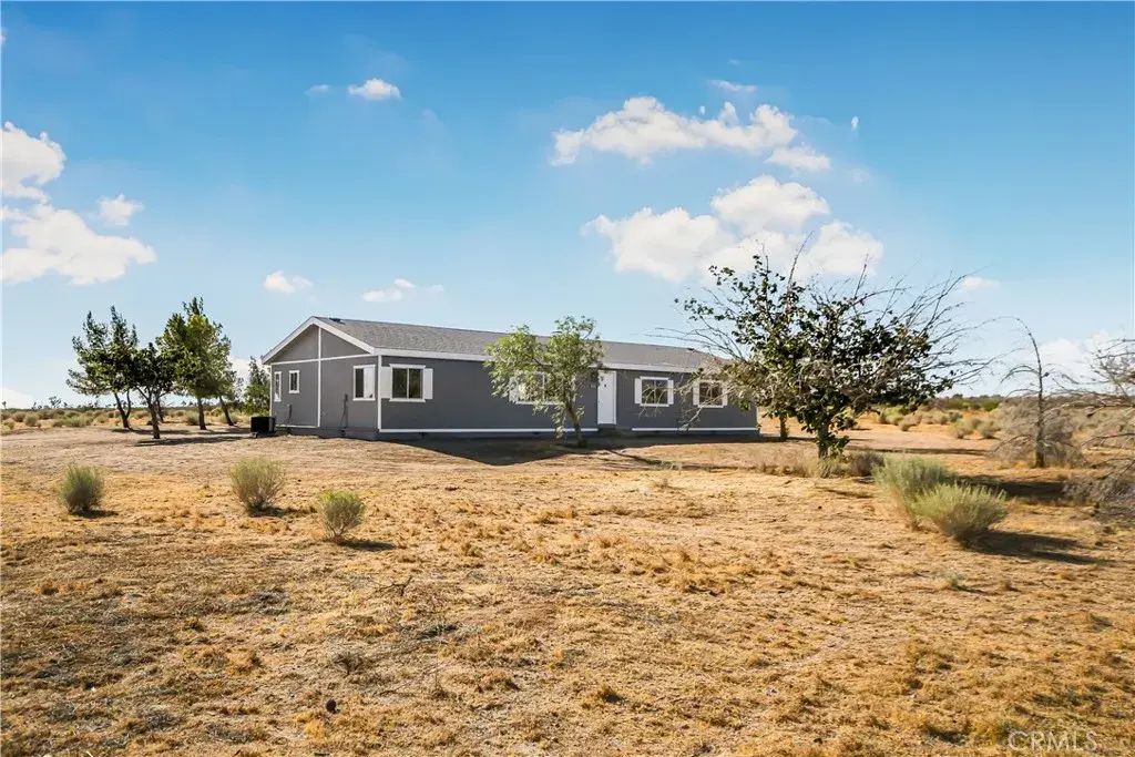 13073 Arizona, Phelan