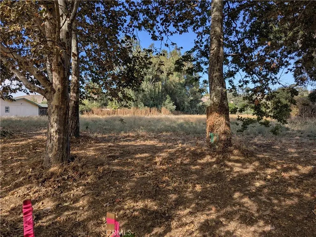 Sycamore Rd, Atascadero
