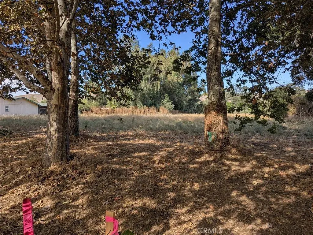 Sycamore Rd, Atascadero