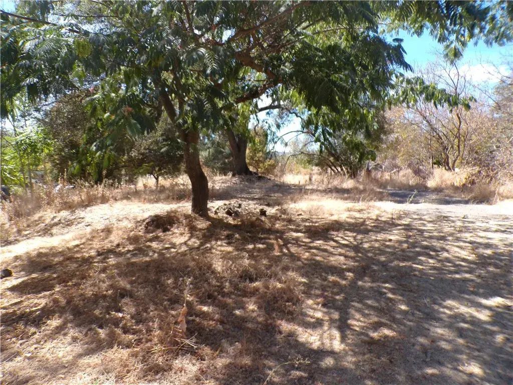 14176 Lupoyoma, Clearlake