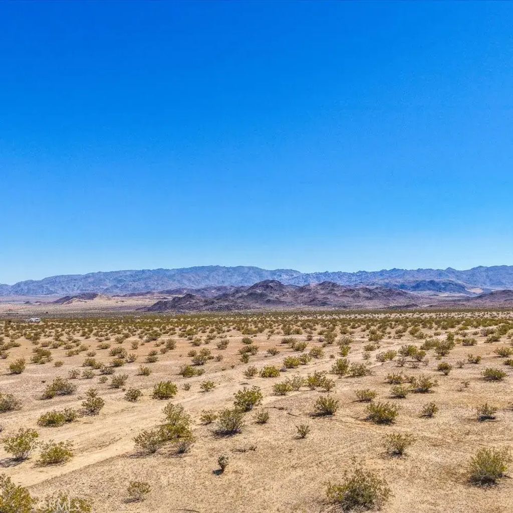55 Mile Square, Joshua Tree
