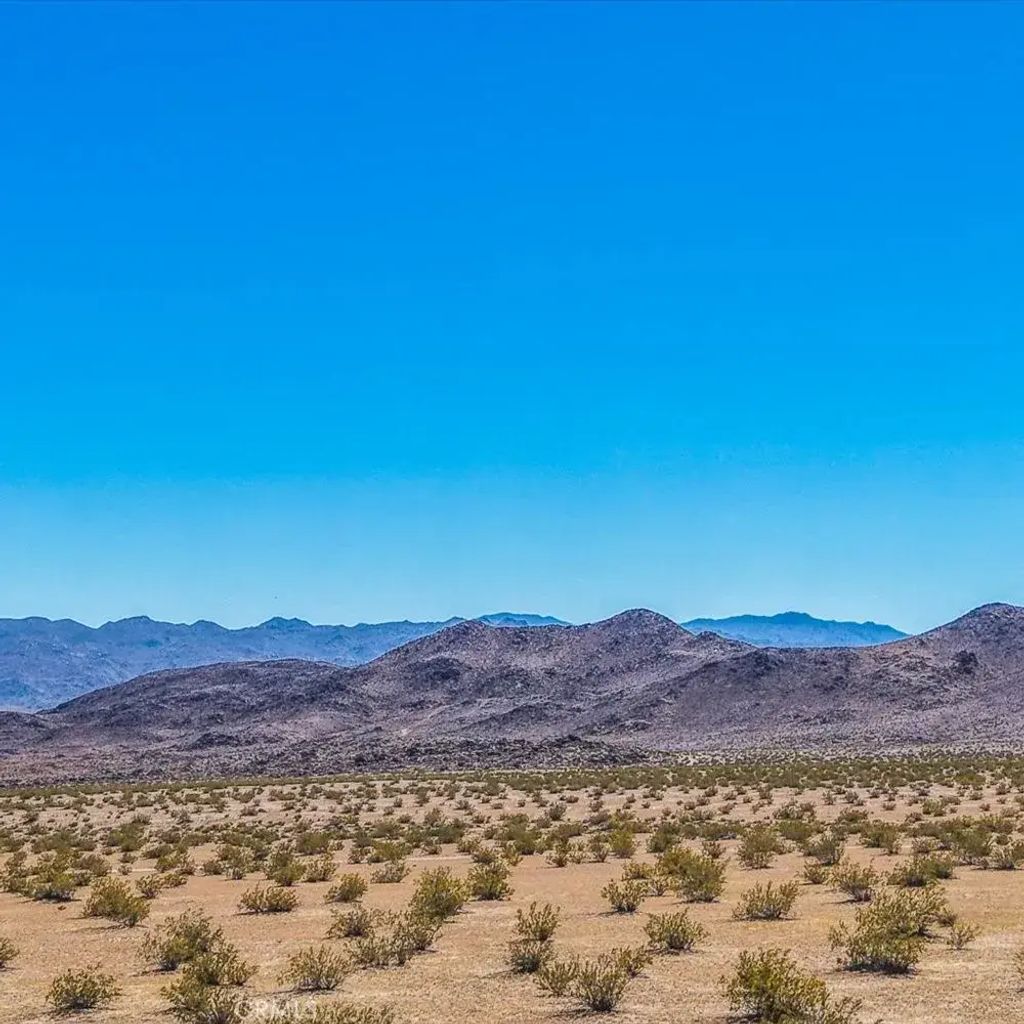 54 Fascination, Joshua Tree