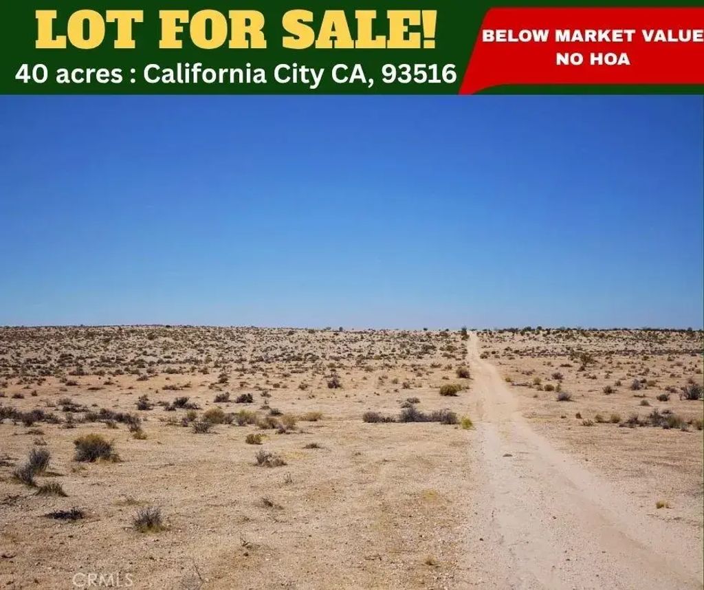 25000 Gordon, Boron