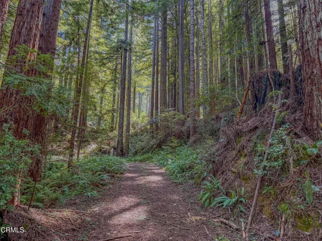 California 20, Fort Bragg