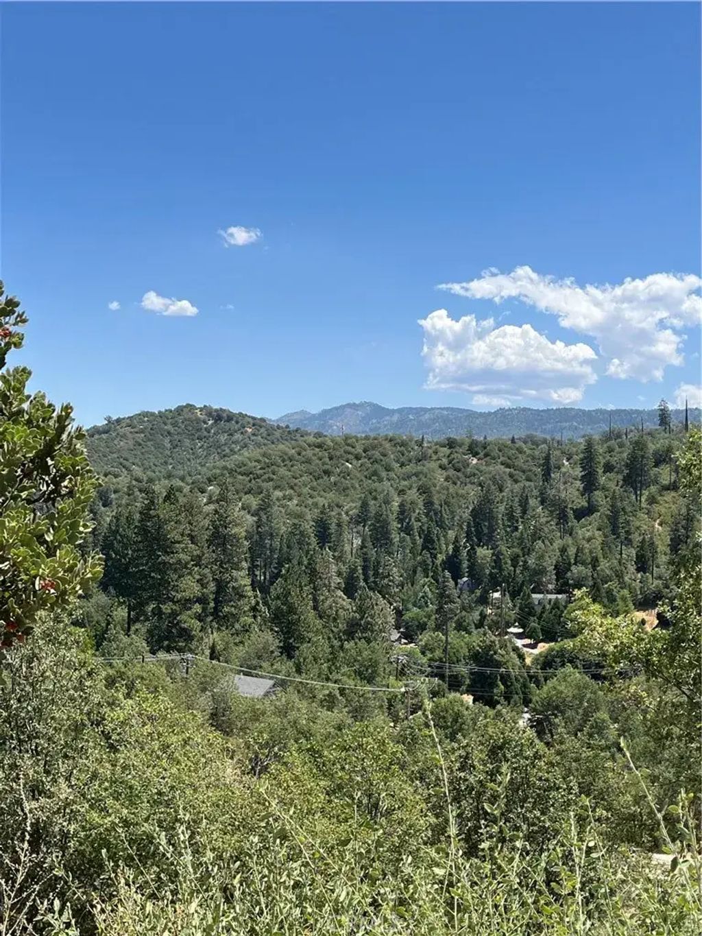 Hill, Cedar Glen