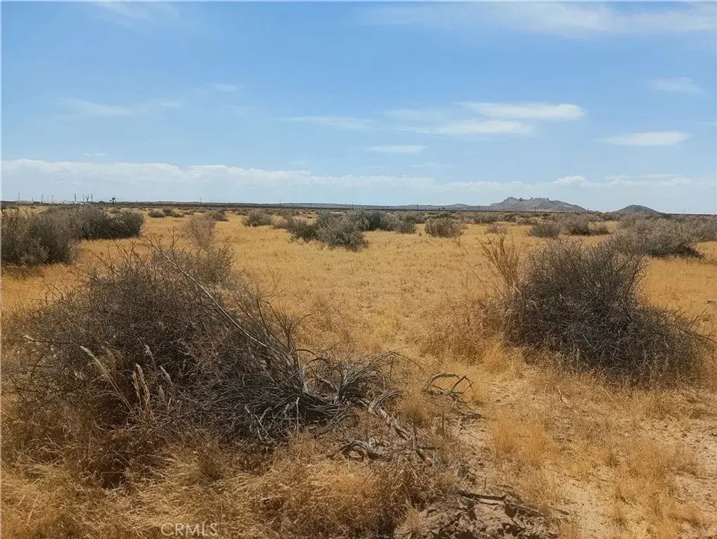 125 Old Hwy 58 (near), Boron