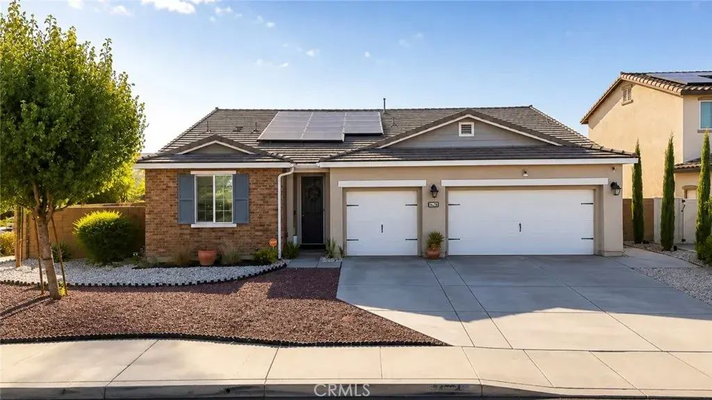 34524 Velvetleaf, Winchester