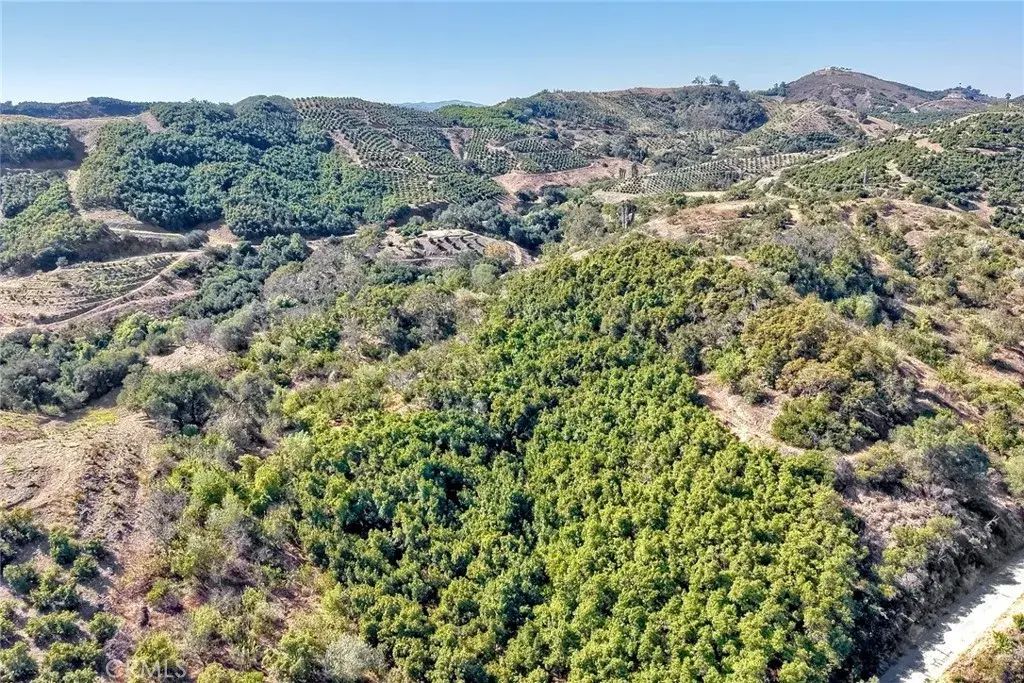 Via De Los Robles, Temecula