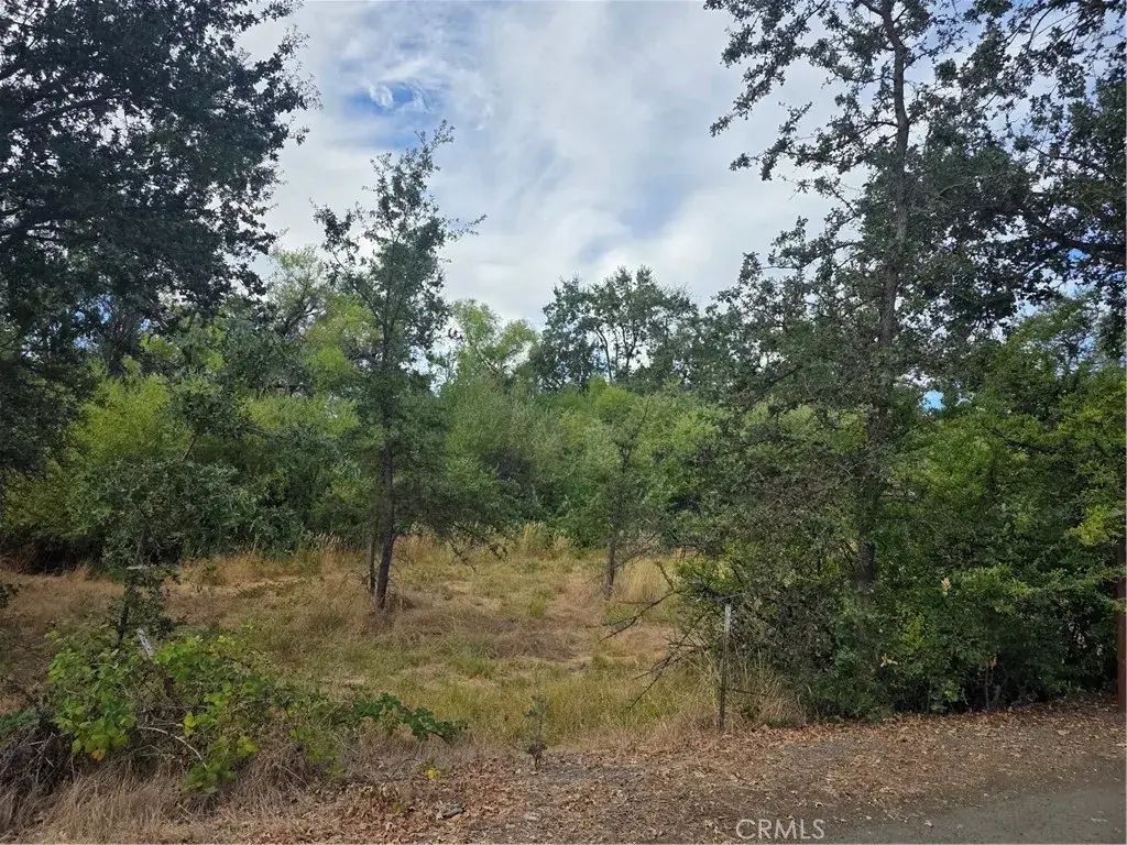 1217 Berry, Lakeport