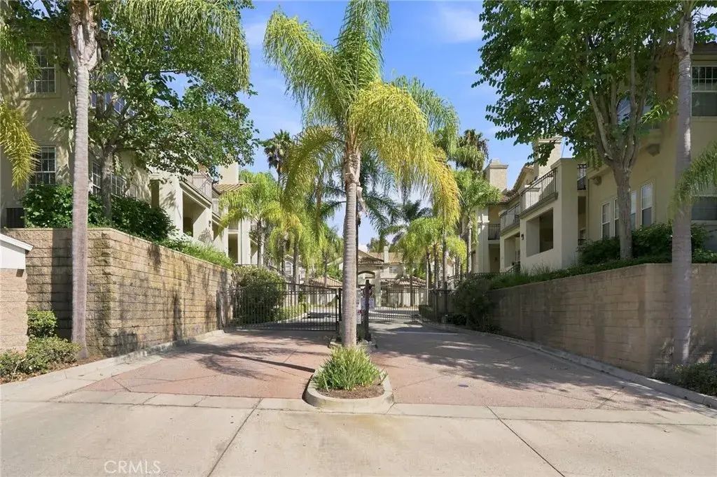 15044 Ocaso, La Mirada