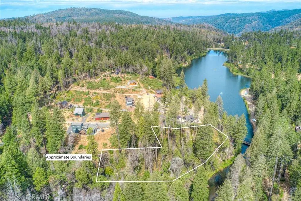 11 Dryad, Berry Creek
