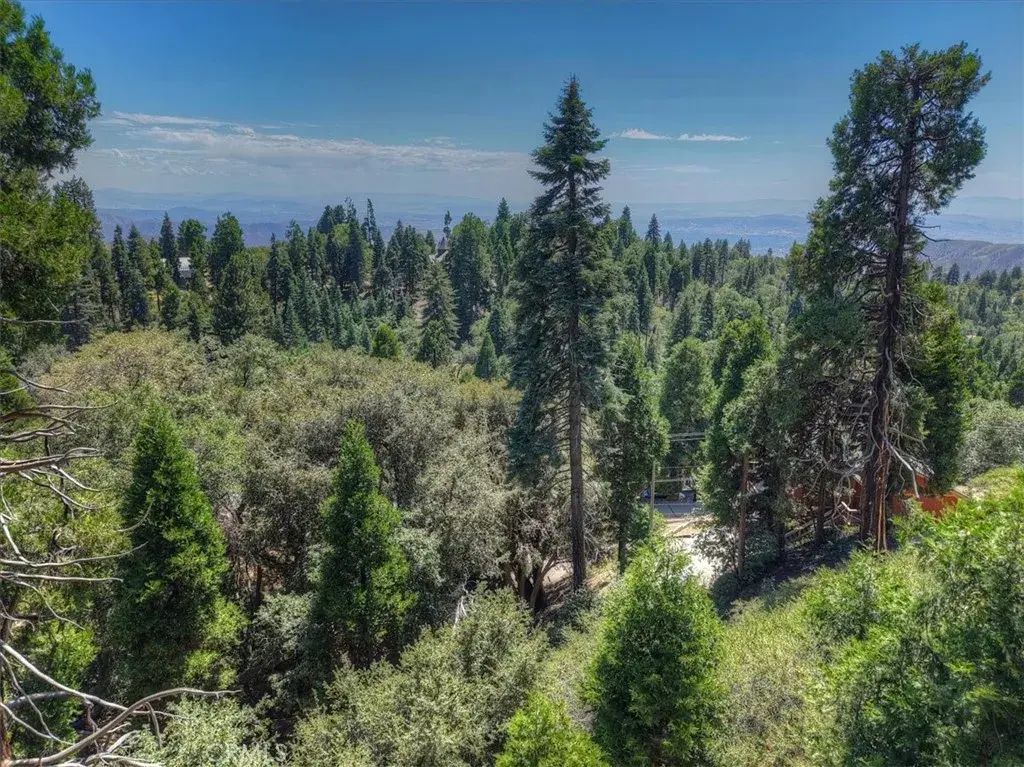 31070 Old City Creek, Running Springs