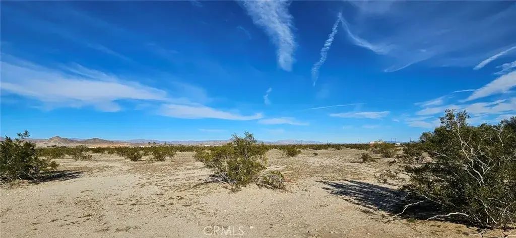 800 Desert Queen, 29 Palms
