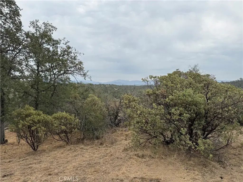 Flying O Ranch Rd., O'neals