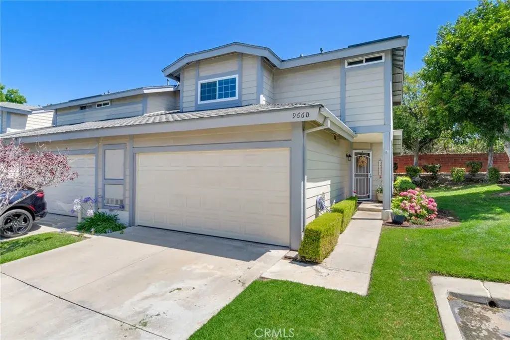 966 Michael D, Corona