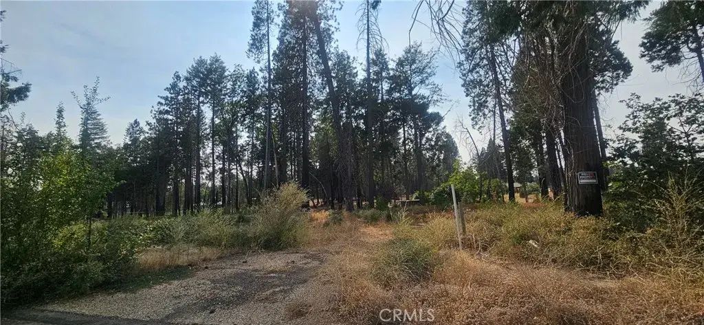 13901 W Park, Magalia