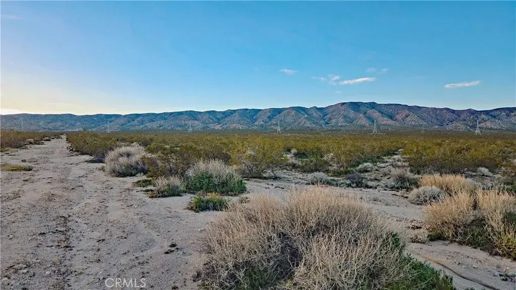 Rose Ave, Mojave