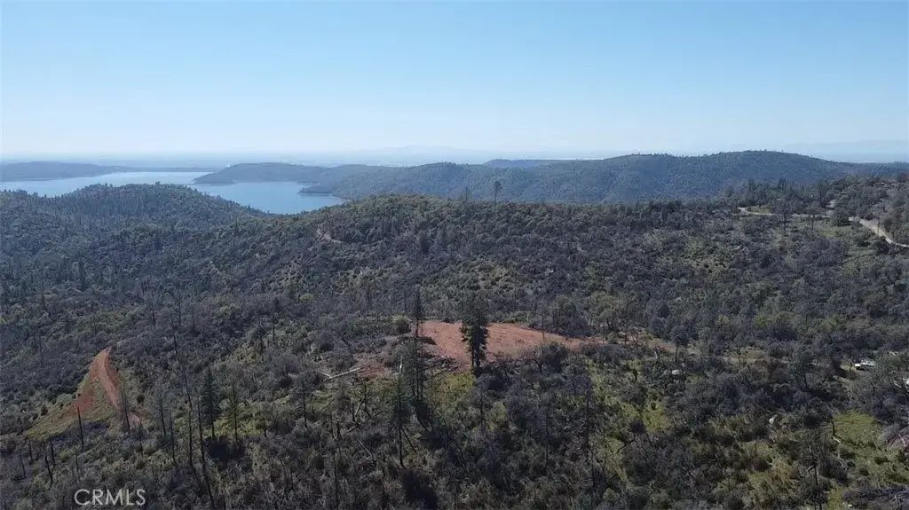 Dounacountre, Berry Creek