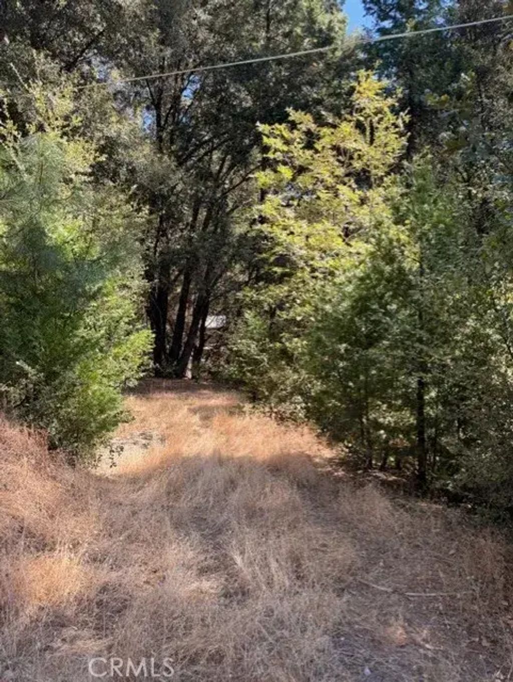 S Cedar Ridge, Oakhurst