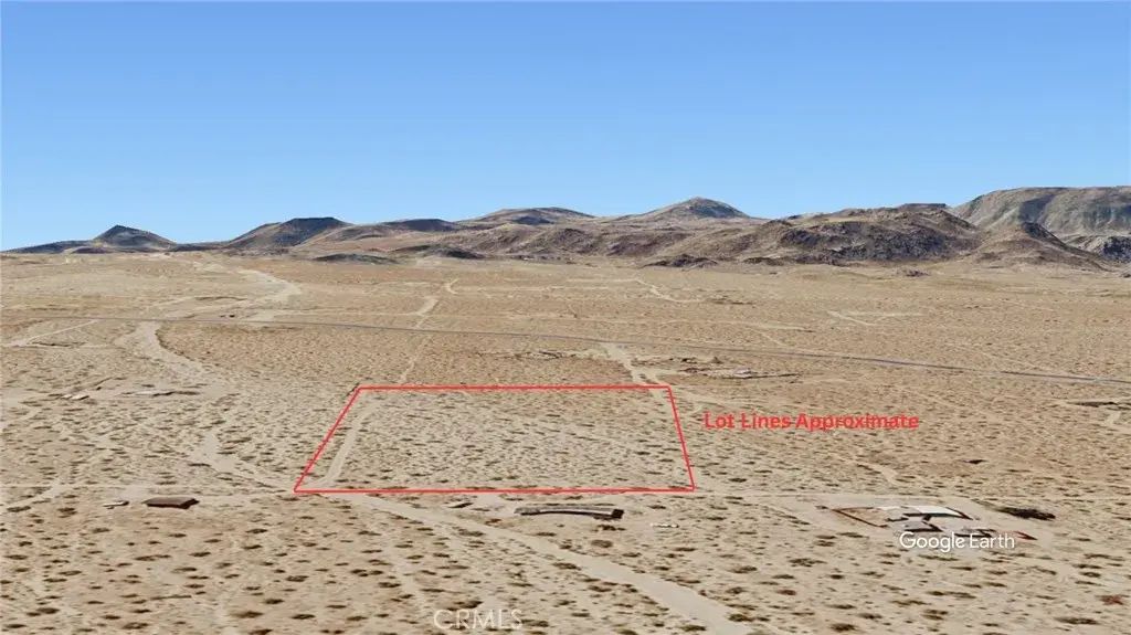 Manzanita, Johnson Valley