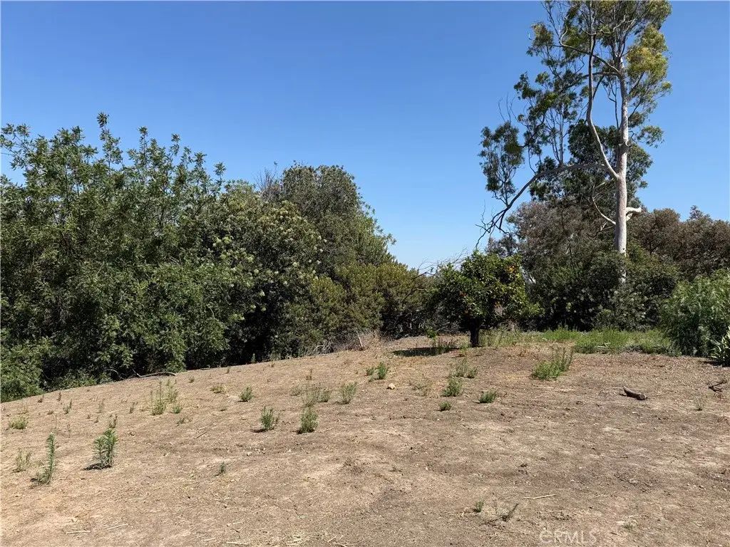 Papaya, La Habra Heights