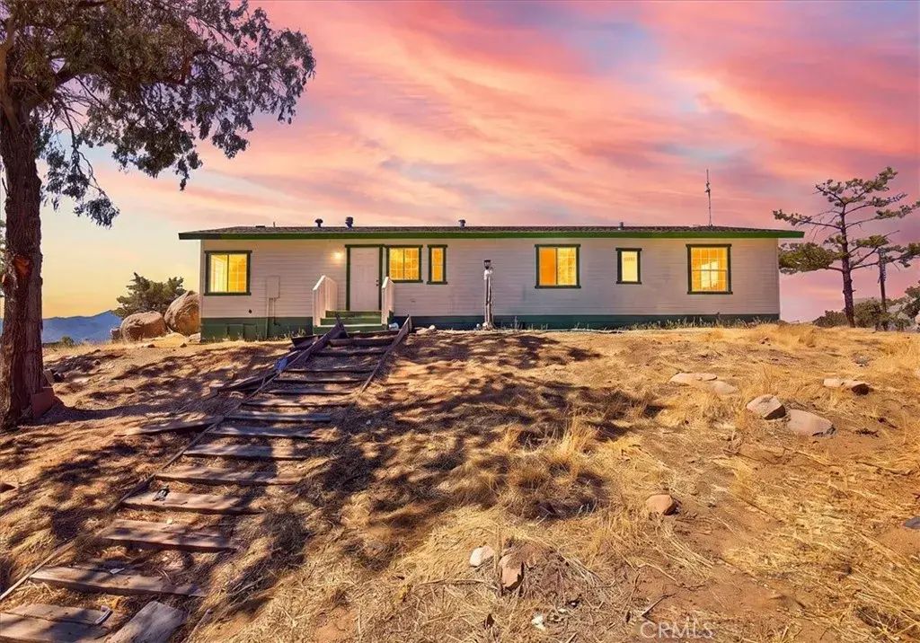 61200 Indian Paint Brush, Anza