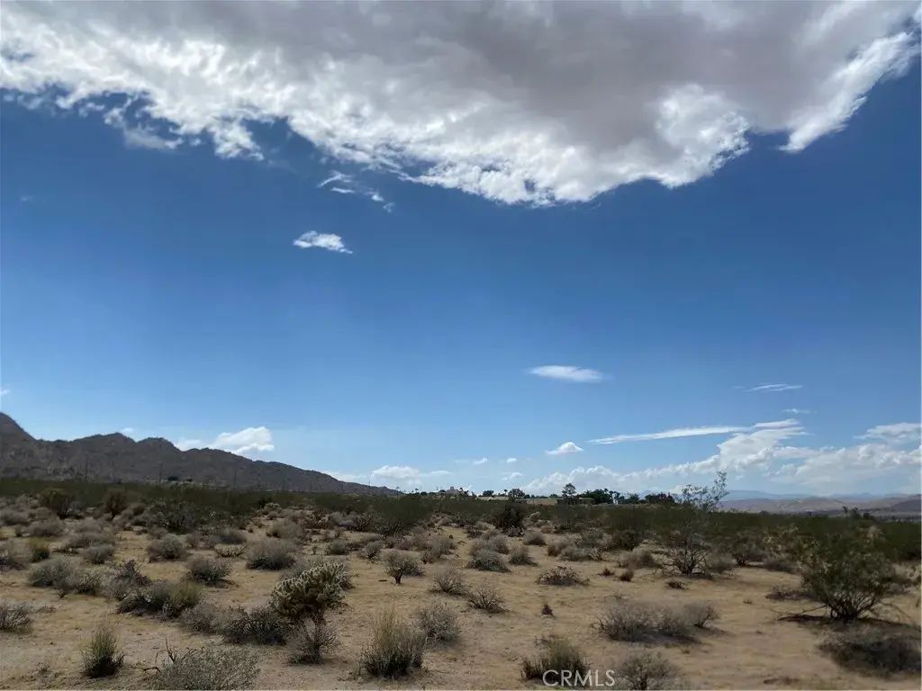 California, Joshua Tree