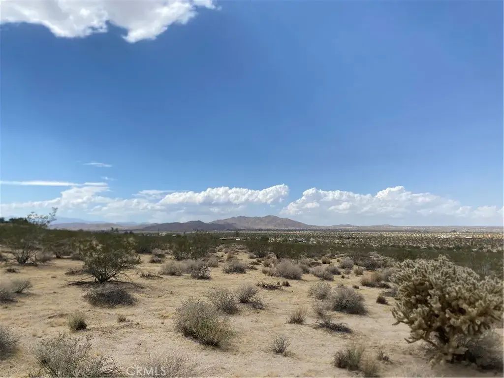 123 California, Joshua Tree
