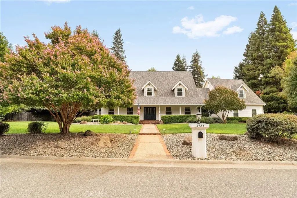 4785 Songbird, Chico