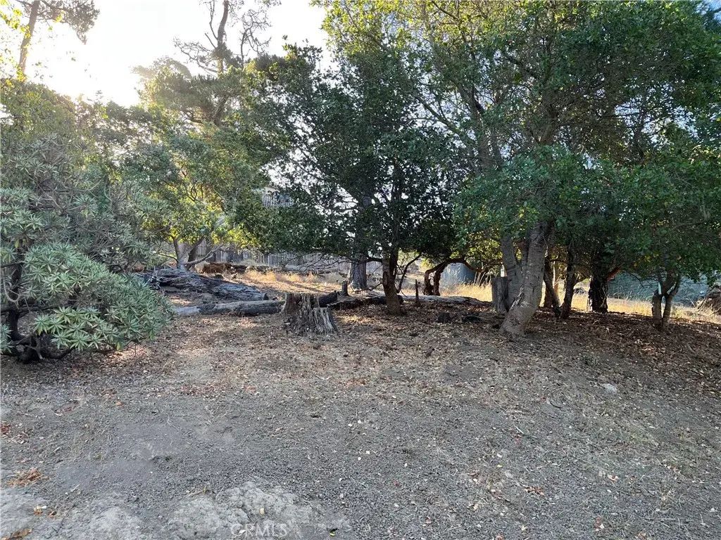 1670 Burton, Cambria