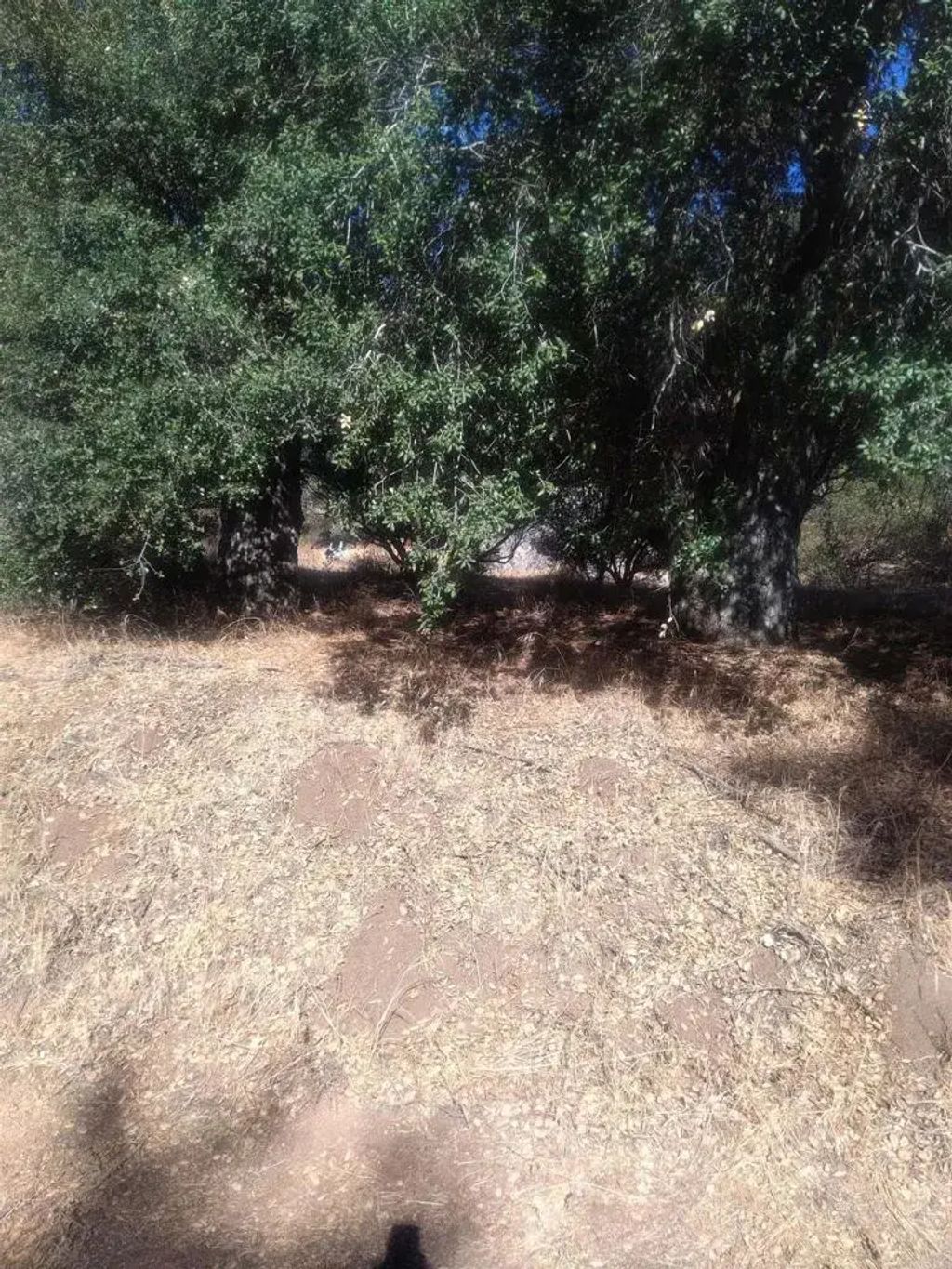 Valley View, Pine Valley