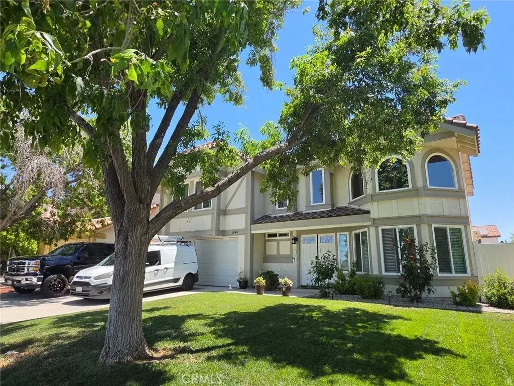 1948 Spanish Broom, Palmdale
