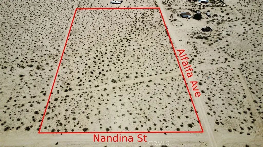 1 Nandina, 29 Palms