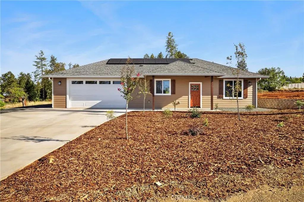 1439 Powell, Paradise