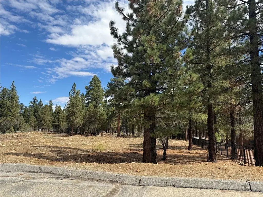 Alderwood, Big Bear