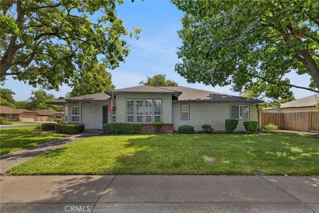 177 Yellowstone, Chico