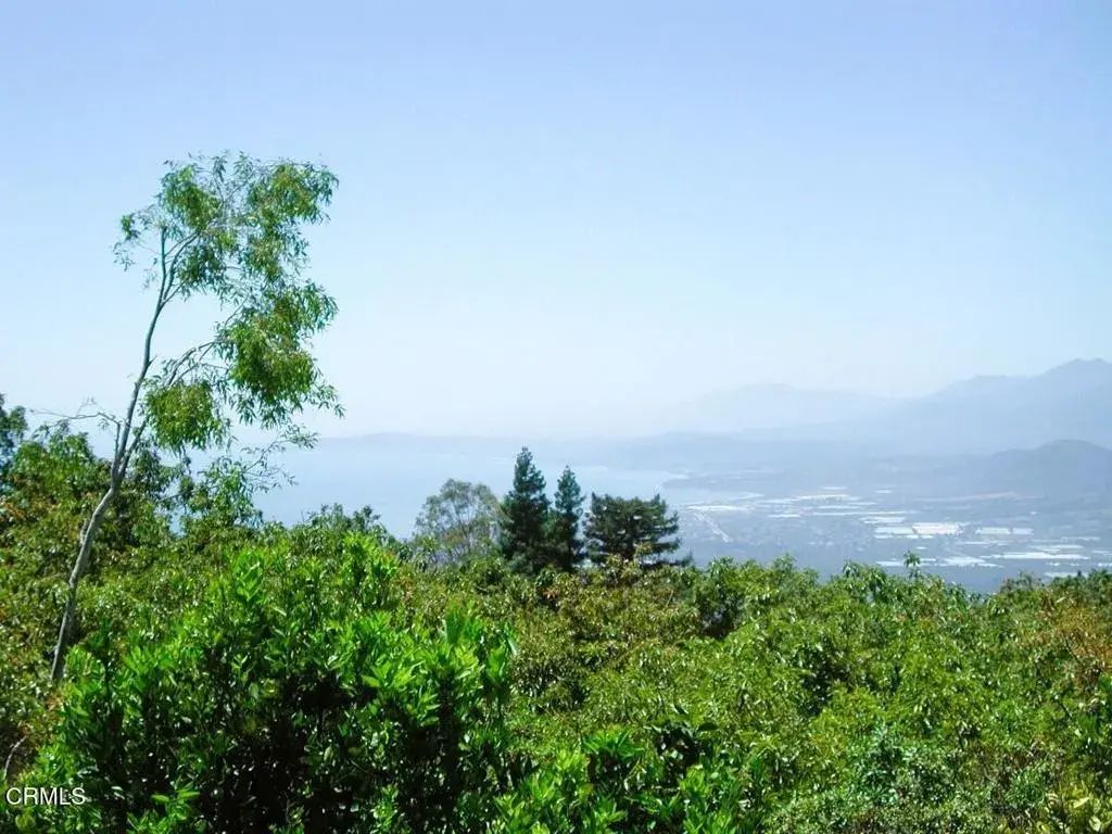 Ocean View, Ventura