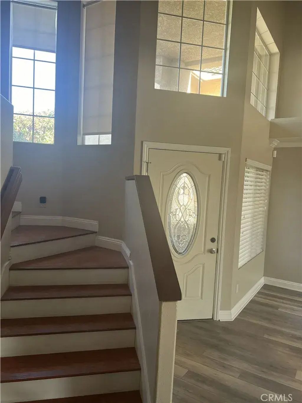 23851 Golden Pheasant, Murrieta
