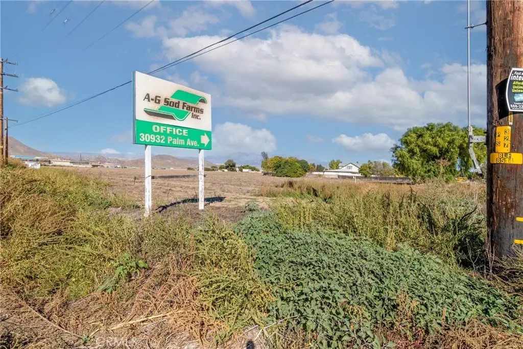 Palm, Nuevo