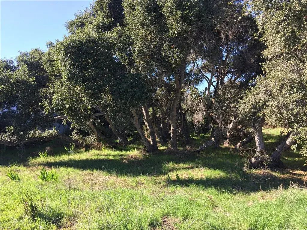 2021 9th, Los Osos