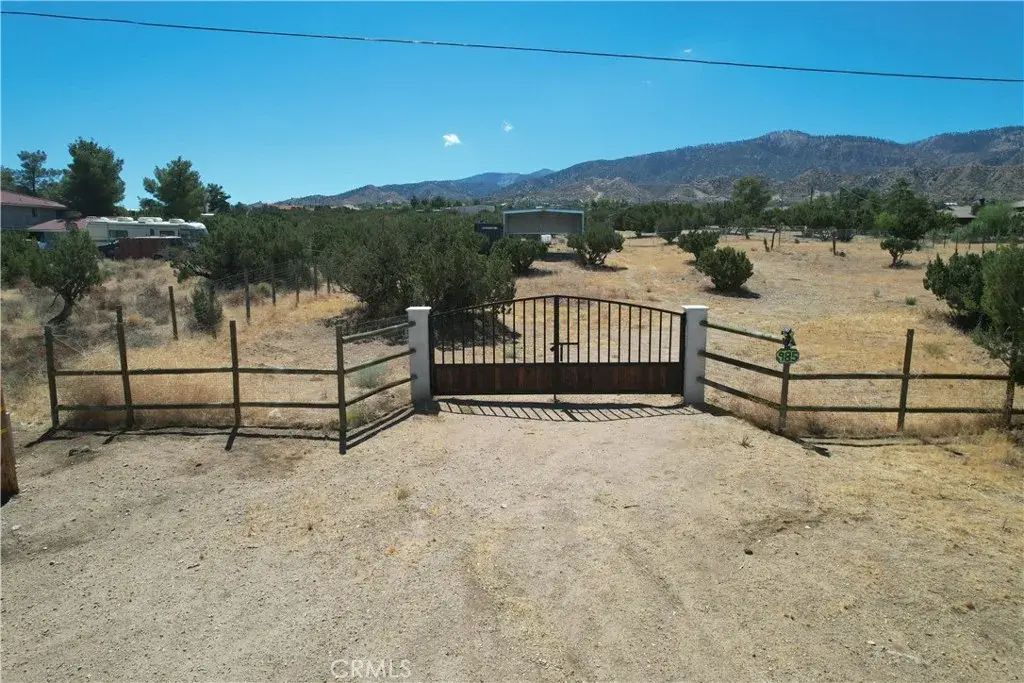 985 Cholla, Pinon Hills