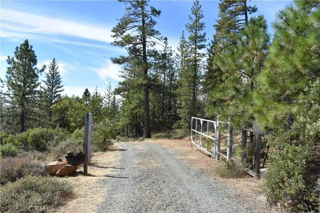 155 Black Tail, Oroville