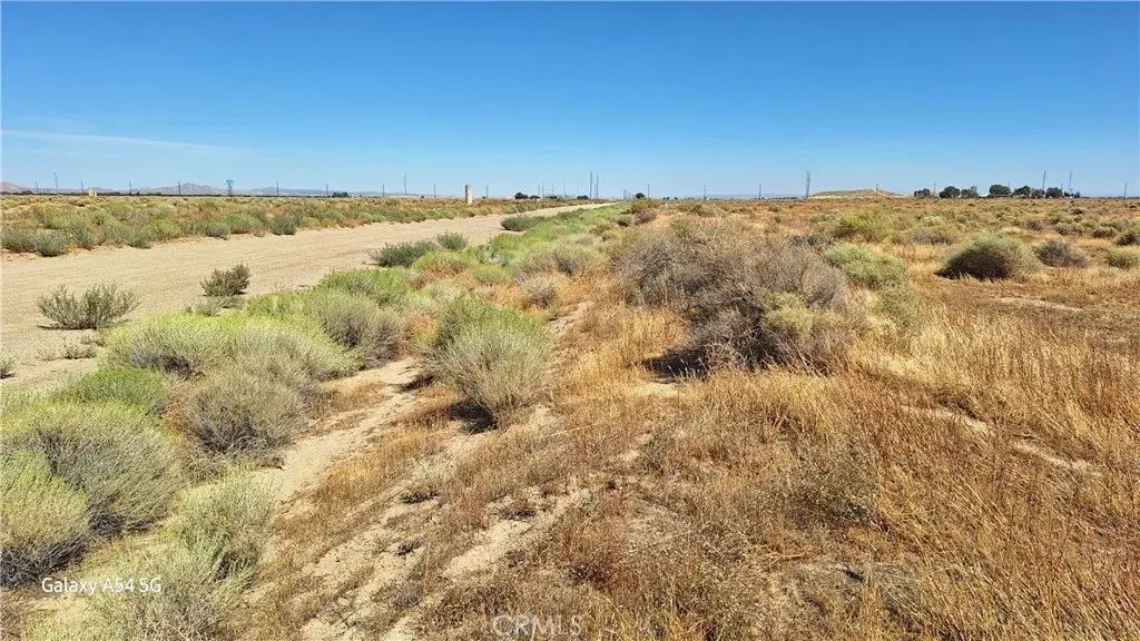 115, Antelope Acres