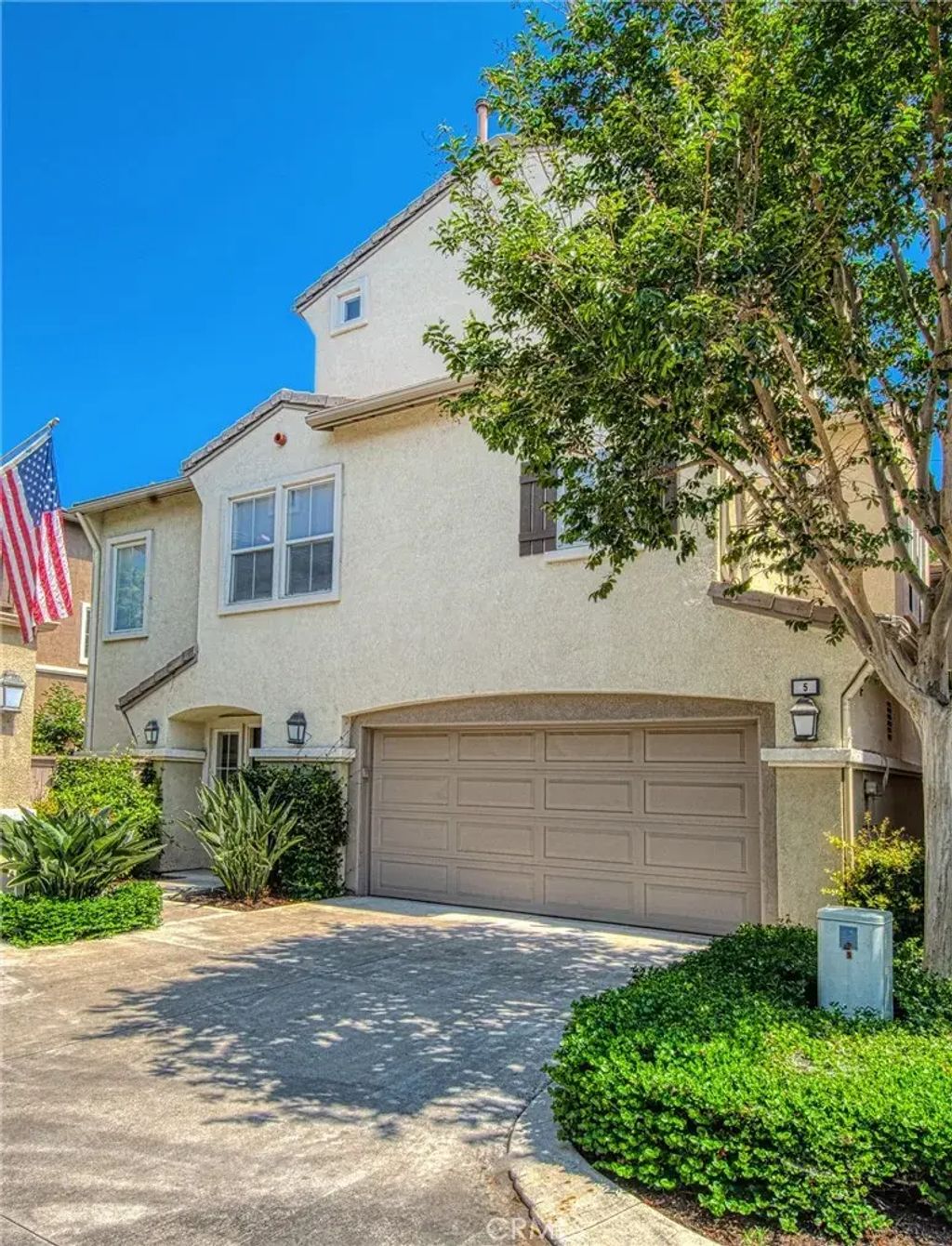 5 Ladypalm, Irvine