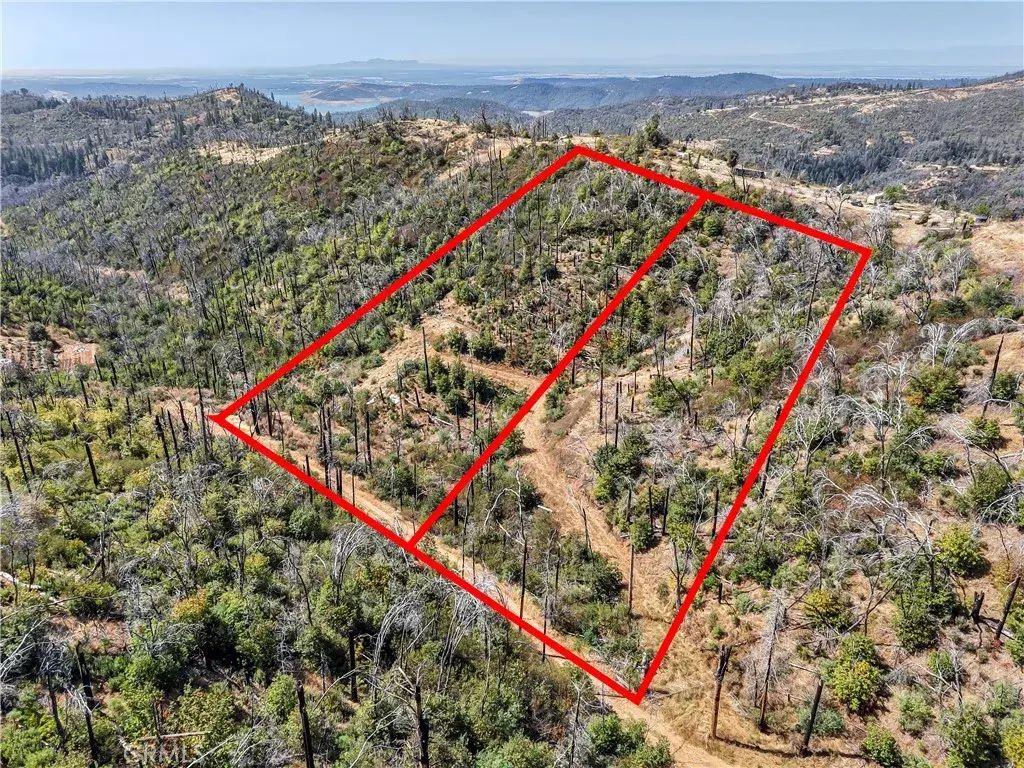 101 Handkirk, Berry Creek